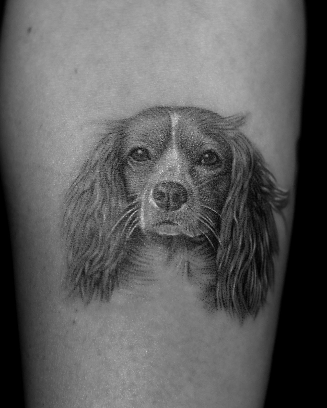 Realistik Hayvan Portre 4 - Bursa dövme stüdyosu | Muzbeyn